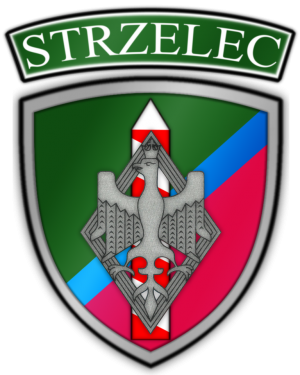  Jednostka Strzelecka 2019 w Tomaszowie Lubelskim 