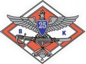  25 Brygada Kawalerii Powietrznej 