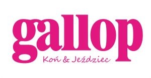  Gallop Koń & Jeździec 